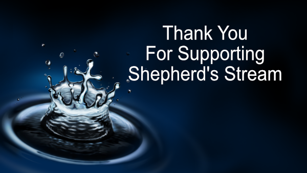 Thankyou Spport