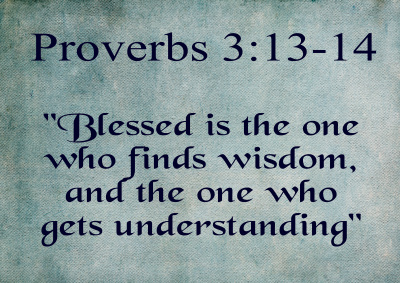finds-wisdom-sscc-fw-16x24